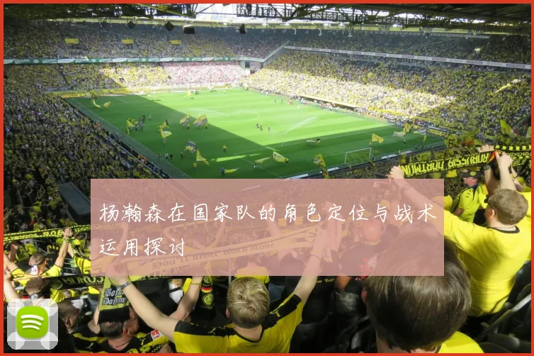 杨瀚森在国家队的角色定位与战术运用探讨