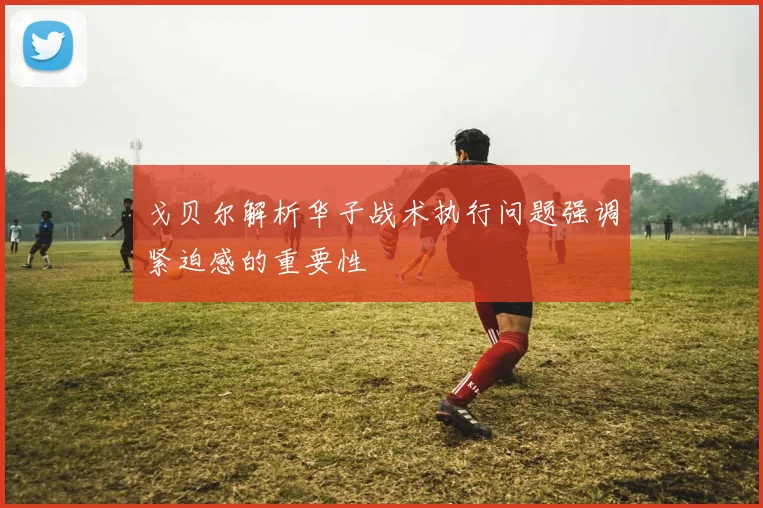 戈贝尔解析华子战术执行问题强调紧迫感的重要性