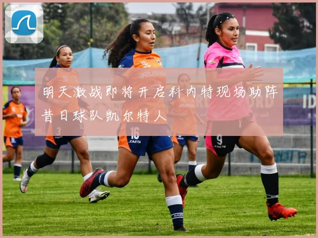 明天激战即将开启科内特现场助阵昔日球队凯尔特人