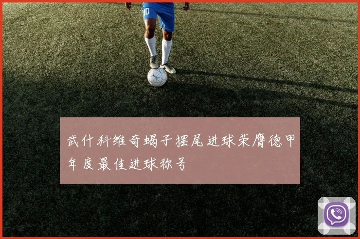 武什科维奇蝎子摆尾进球荣膺德甲年度最佳进球称号